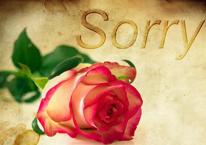 Schrift Sorry mit Rose - Hyperlink