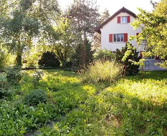 Haus in Elgg Garten