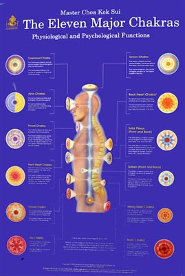 The Eleven Major Chakras Poster