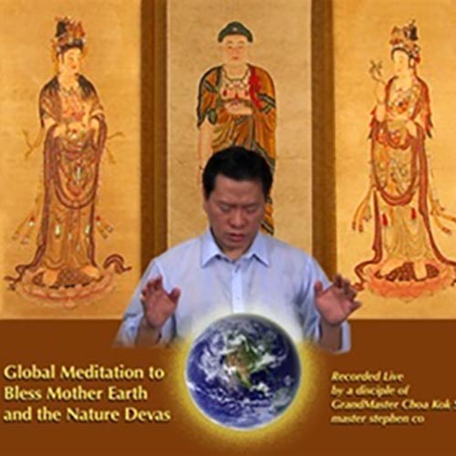 DVD Global Meditation to Bless Mother Earth and the Nature Devas